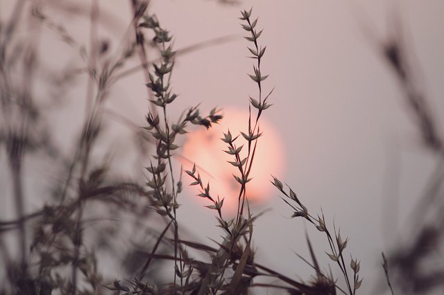 1. Lead - sun