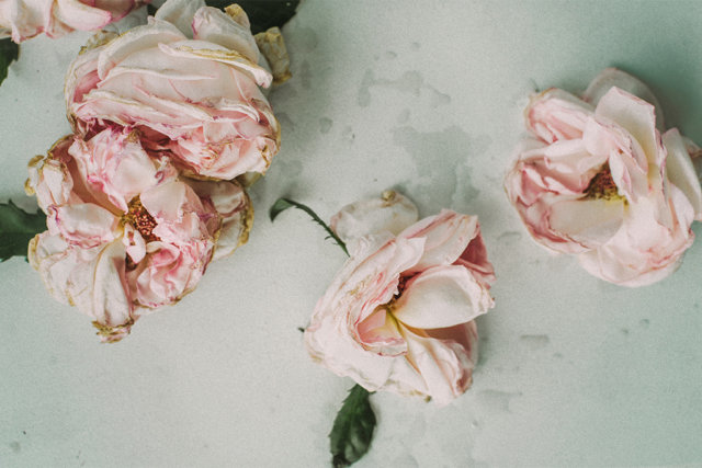 Header